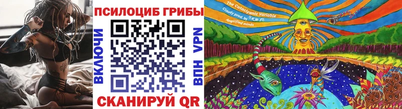 сколько стоит  Правдинск  Псилоцибиновые грибы Psilocybe 